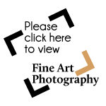 Fine Art Photography Button